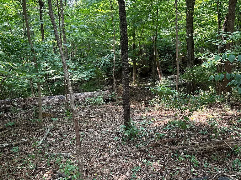 7275 Corville Farm Rd — Photo 32