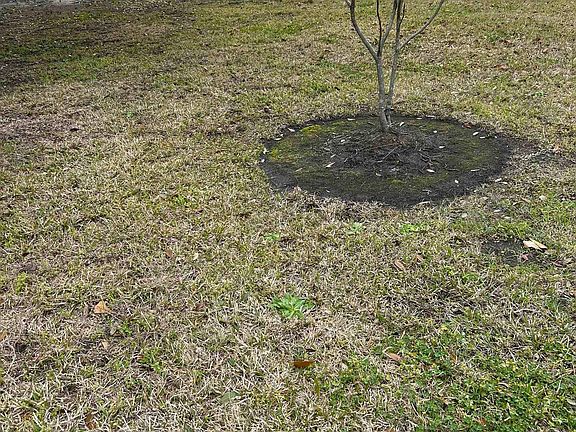 5th image of 325 Kauffman St.