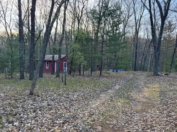 9075 S Larson Ave, Baldwin, MI 49304
