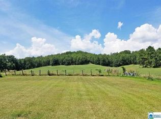 1335 Possum Trot Rd, Piedmont, AL 36272