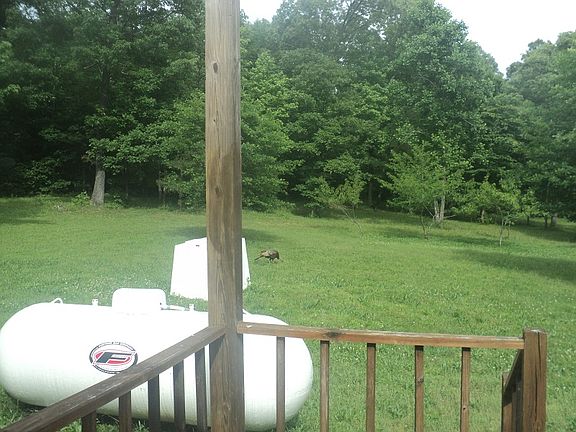 3rd image of 874 Saddle Ln
