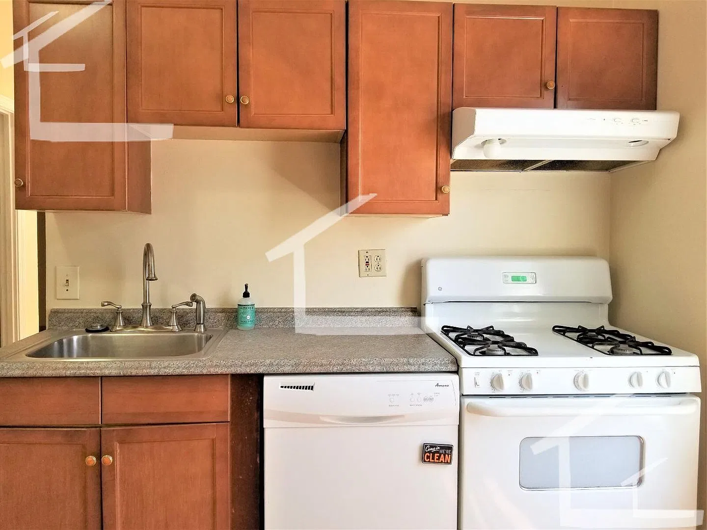 Hot Allston Listing — Photo 3