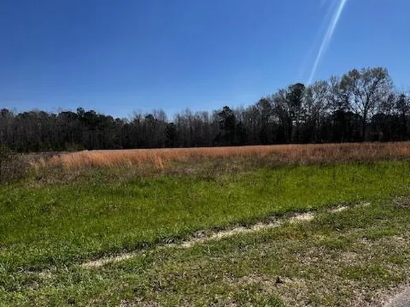0 Pompey Town Rd, Greeleyville, SC 29056