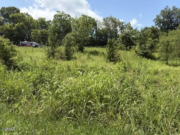 615 Green Hill Rd Lot 2R, Dandridge, TN 37725