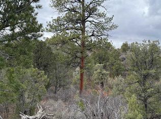 1479 la Posta Canyon Road, Durango, CO 81303