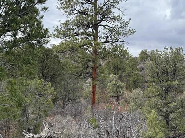 1479 la Posta Canyon Road, Durango, CO 81303