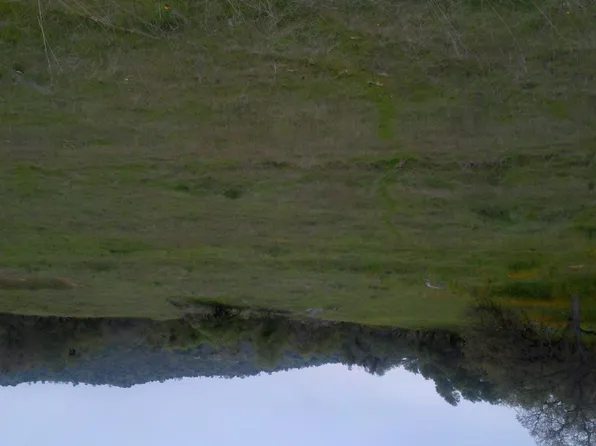 42696 Ranger Circle Dr, Coarsegold, CA 93614