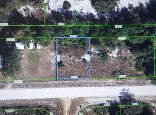 3052 W Downing Rd, Avon Park, FL 33825