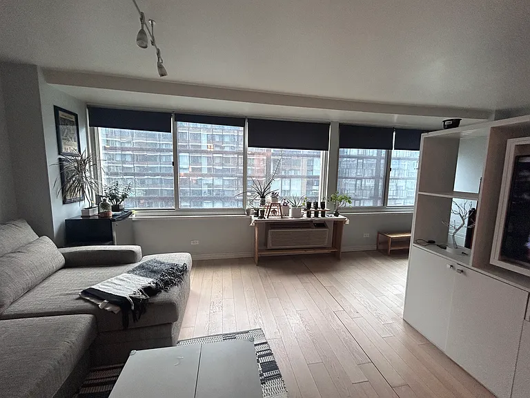 211 E Ohio St #2412 — Photo 11