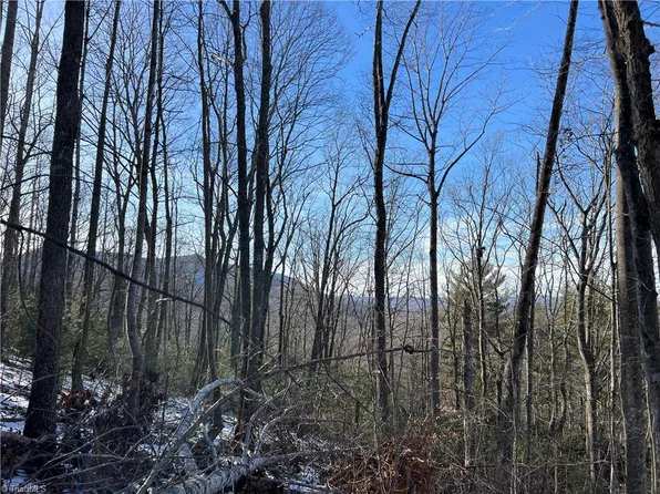 8 Woodland Rdg Lot 8, Lansing, NC 28643