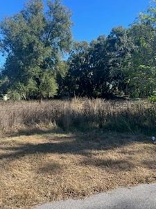 5454 Noble Rd, Lakeland, FL, 33811