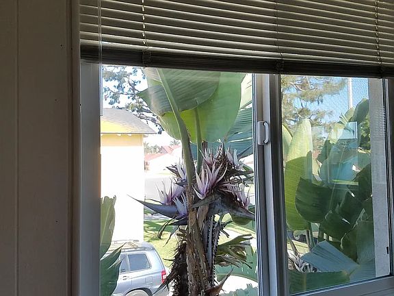 4th image of 8921 La Paloma Ave #1