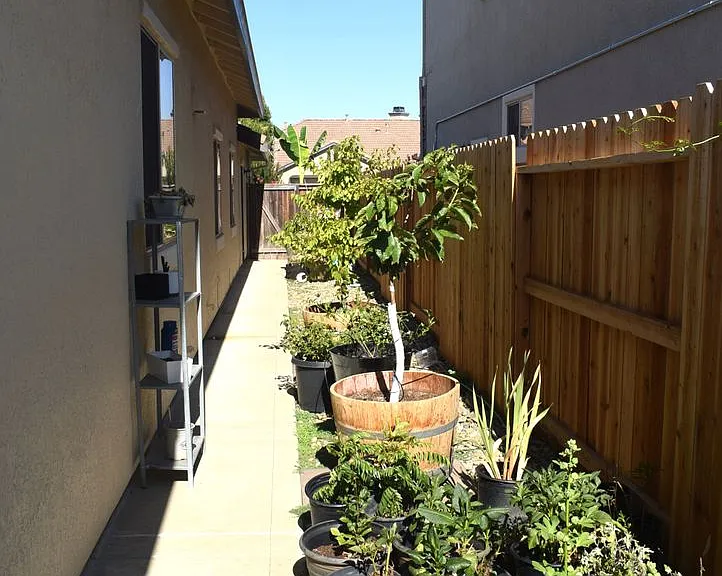 10334 Frank Greg Way — Photo 23