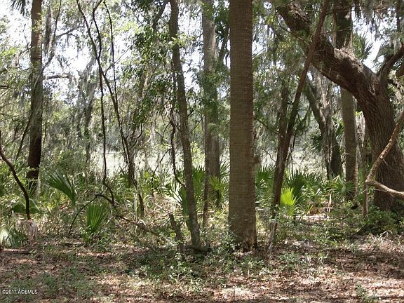 5th image of 10 Palmetto Grove Lane