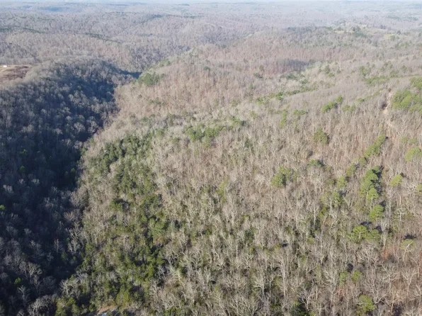 (undisclosed Address), Harriet, AR 72639