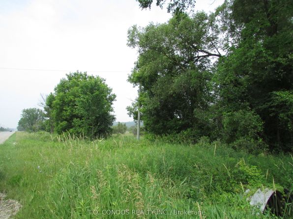 19633 Highway 48, East Gwillimbury, ON L0G 1M0