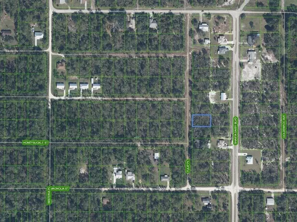 7020 Tulip Pl Lot 449, Sebring, FL 33875