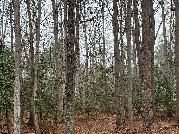 3rd image of LOT 2055 Neptune Ct