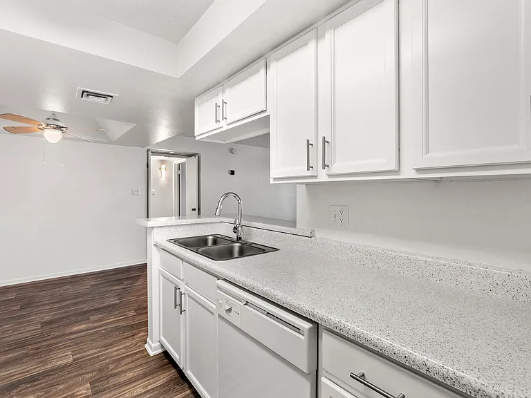 Kitchen Sink Area