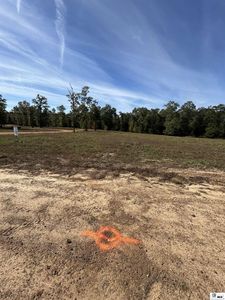 0 Cove View Rd, Farmerville, LA, 71241