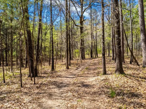 (undisclosed Address), Monticello, AR 71655