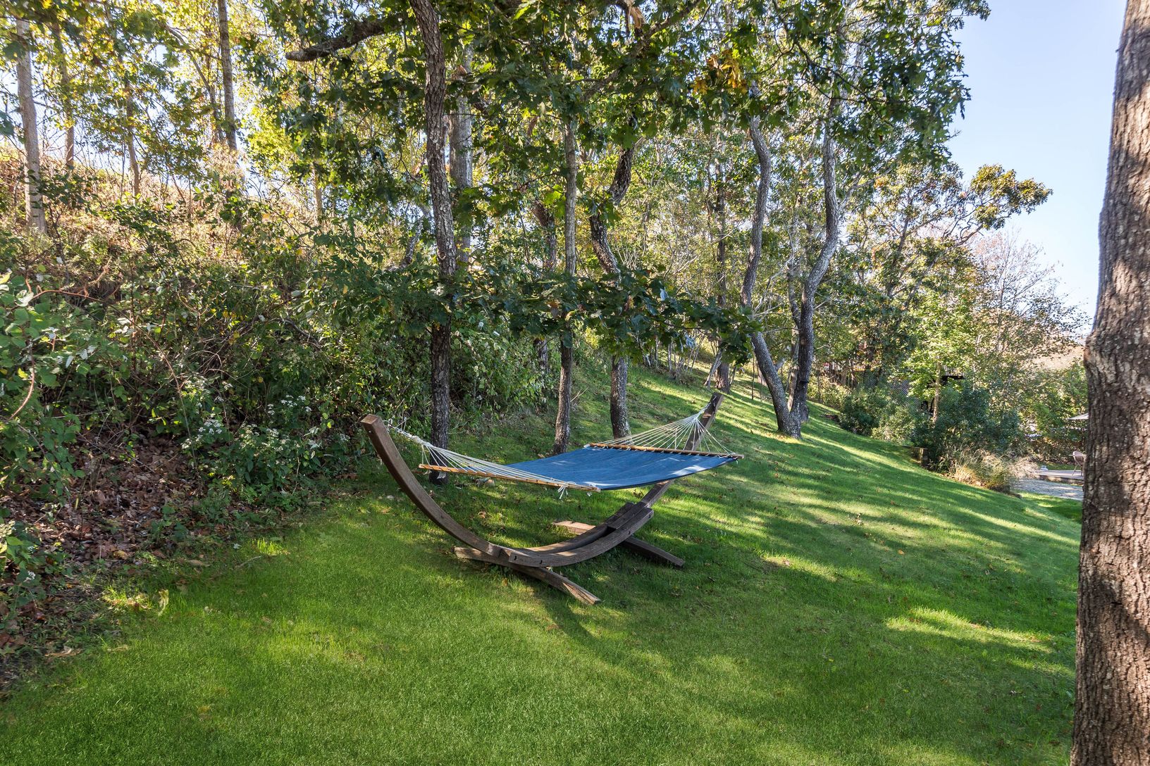 Hammock