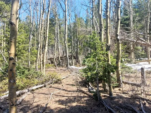 2751 Grojean Drive LOT 2751, Fort Garland, CO 81133