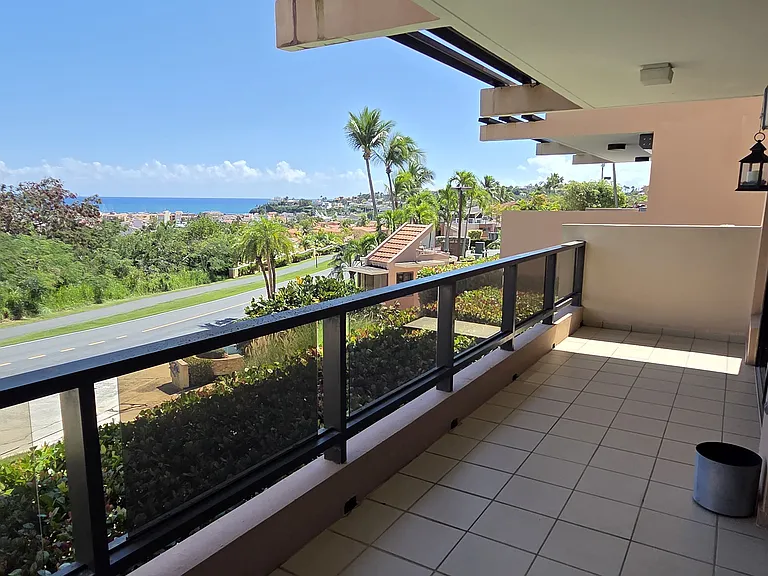 A18 La Jolla Palmas Del Mar Dr — Photo 10