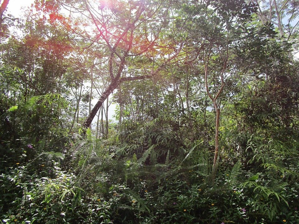 2nd image of Kona Rd Lot 314