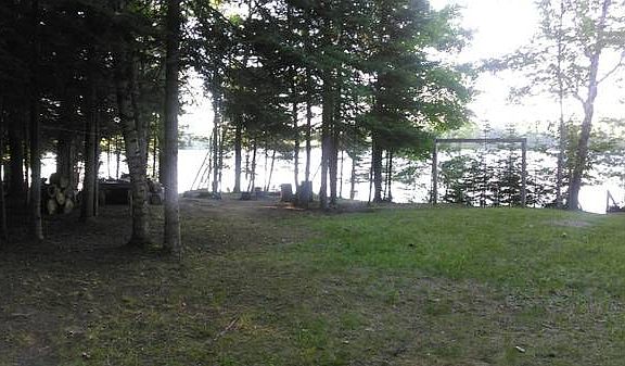 Front yard