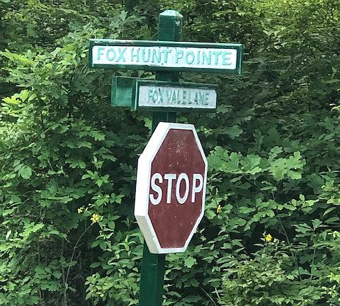 3rd image of 104 Fox Hunt Point