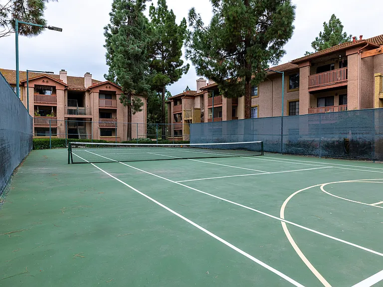 Alta Carmel Ct — Photo 20