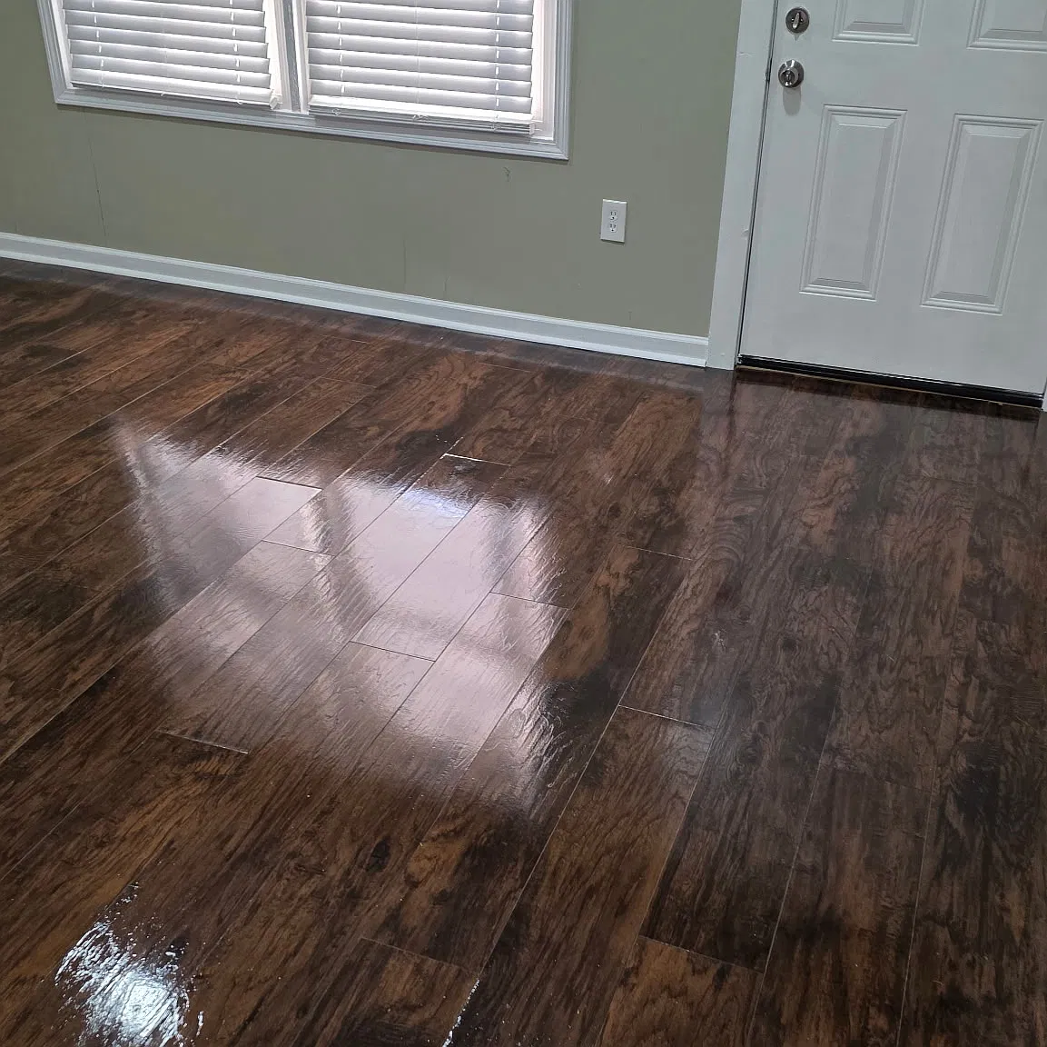 5 bed, 1600 sqft, $1,850 — Photo 4