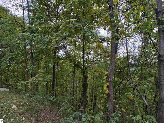 4th image of 1355 Panther Park Trl