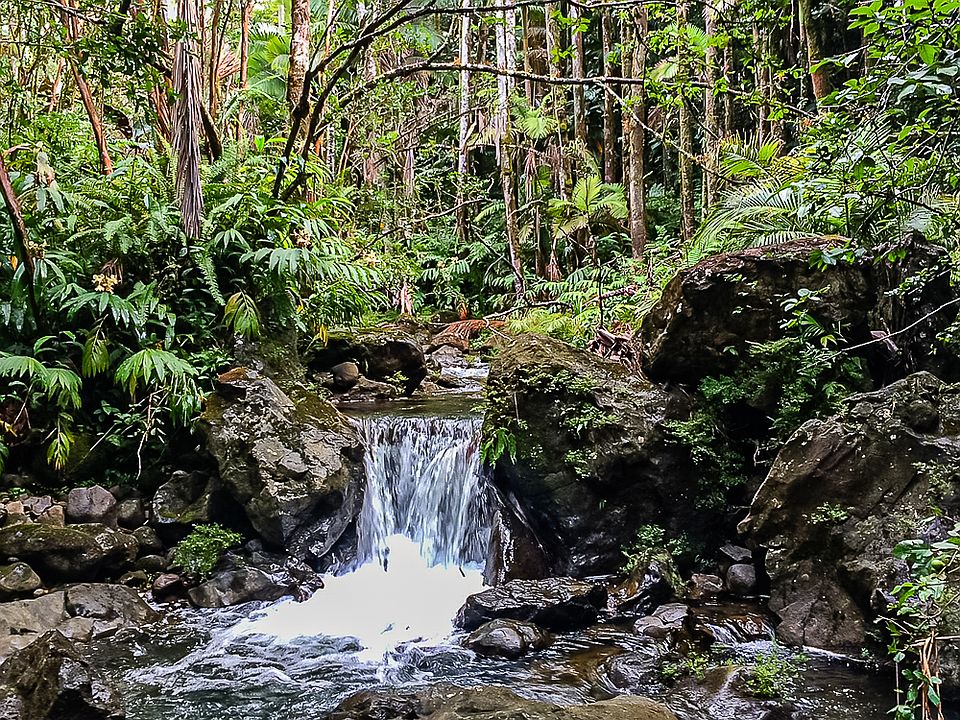 271127 Onohi Loop, Pepeekeo, HI 96783 MLS 702498 Zillow