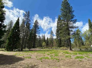 2-D-23 Snowline Cir, McCloud, CA 96057