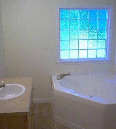 Master bath soaking tub