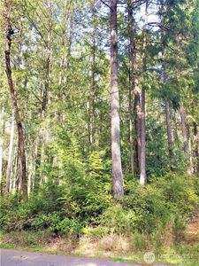 11107 122nd Avenue Ct, Anderson Island, WA, 98303