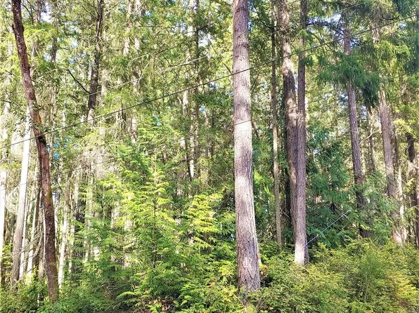 11107 122nd Avenue Ct, Anderson Island, WA 98303