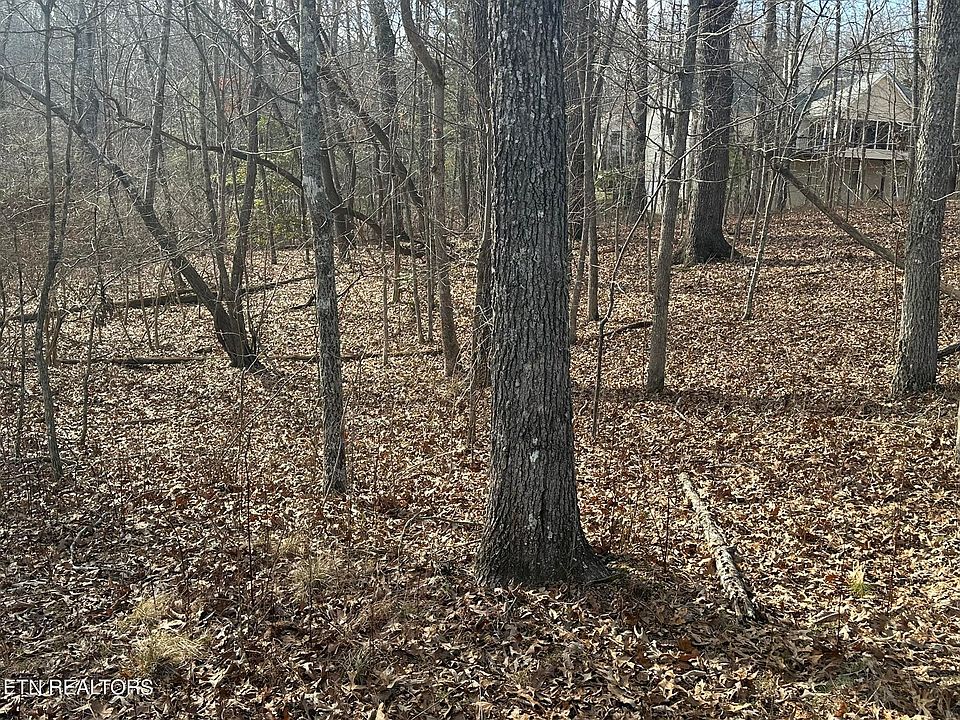 1st image of 133 Burrough Ln