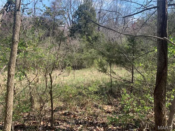 910 Old Eatherton Rd, Glencoe, MO 63038