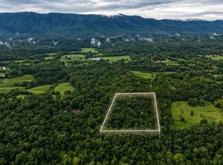 1903 Tree Tops Ln, Seymour, TN 37865