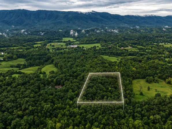 1903 Tree Tops Ln, Seymour, TN 37865