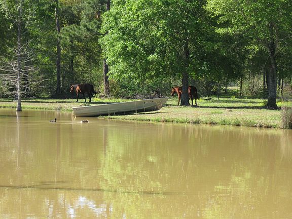7 acres fenced and Crossfenced with two stocked ponds