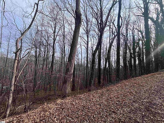 3rd image of 0 Wildflower Ln