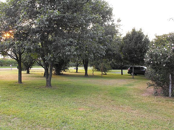 Front yard from side
