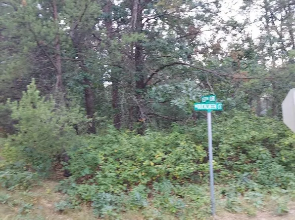 LOT 21 Duck Creek Ave, Adams, WI 53910