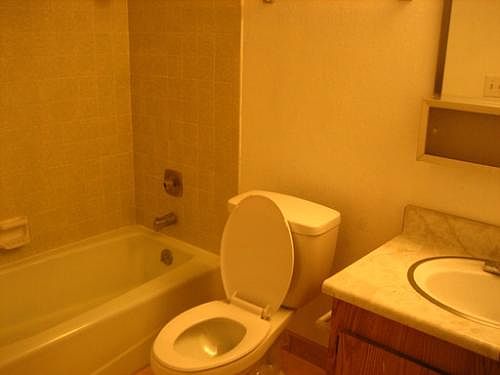 4th image of 501 Shadow Ln APT A