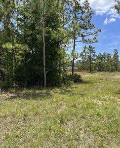 0 Celeste {lot6} Ave LOT 6, Brooksville, FL, 34614