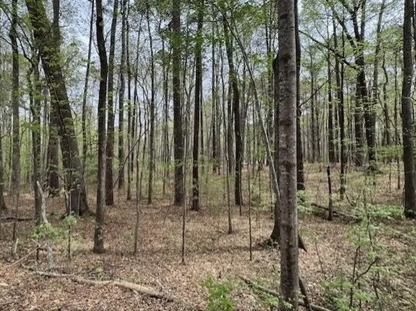 LOT 336 Forest Hills Dr, Littleton, NC 27850